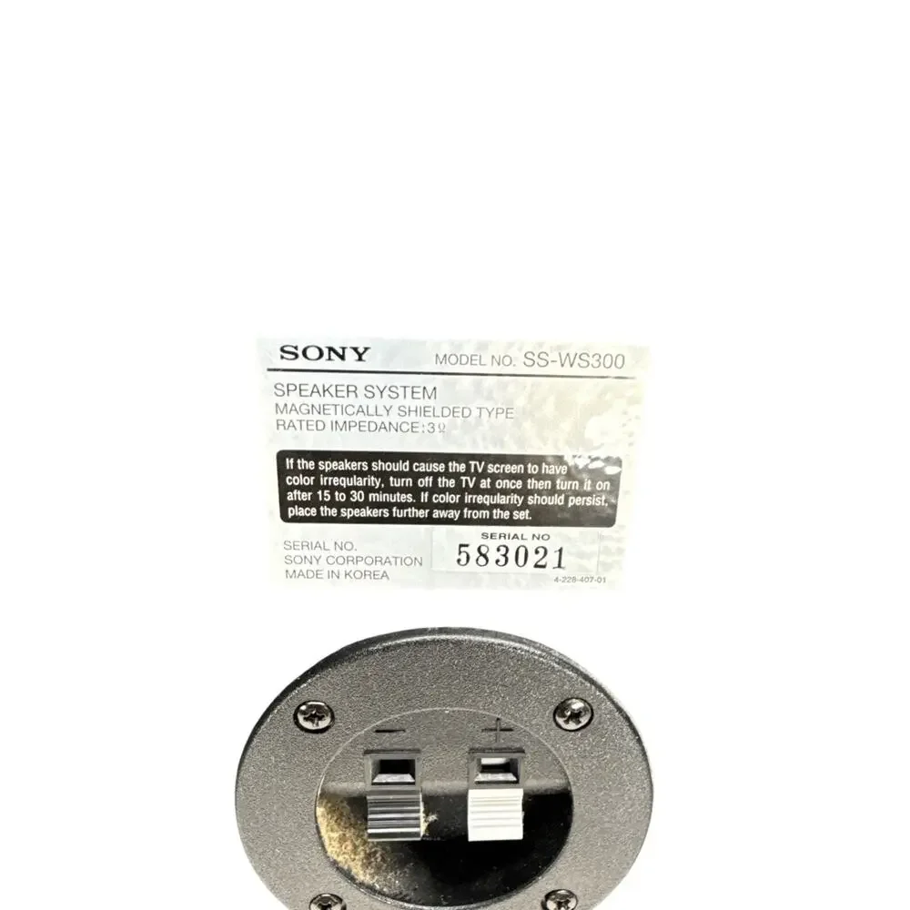 Sony SS-WS300 & Sony SS-TS300 Home Theater Surround Speakers 6 Pc Set